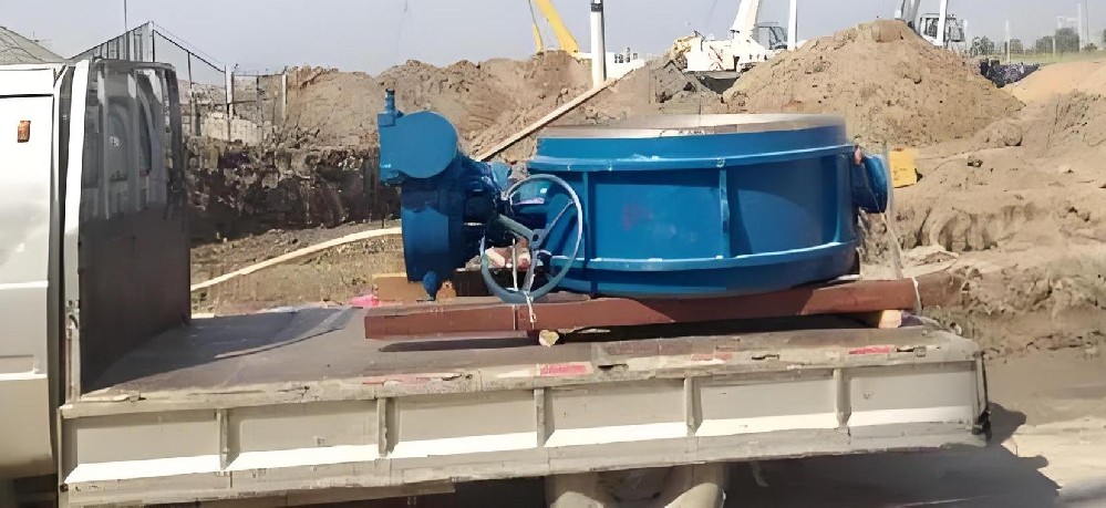 2008��������ݵ��y�S(ch��ng)�ɹ��c��(n��i)�ɹ�ĳ���S(ch��ng)������